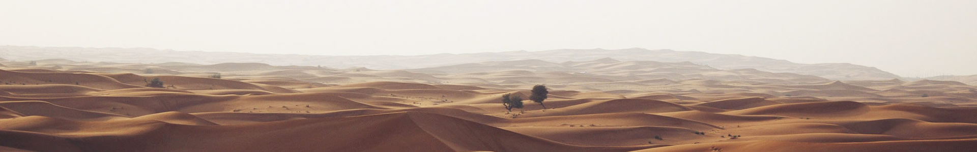 иҵƼ޹˾